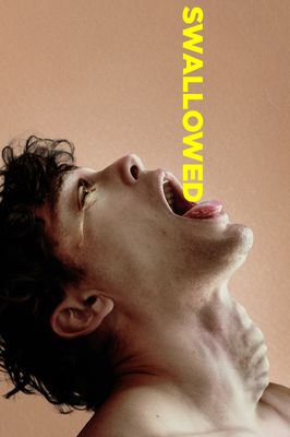 Swallowed