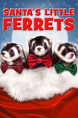 Santa's Little Ferrets