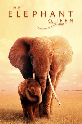 The Elephant Queen