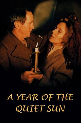 A Year of the Quiet Sun