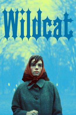 Wildcat