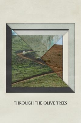 Under the Olive Trees
