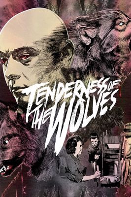 Tenderness of the Wolves