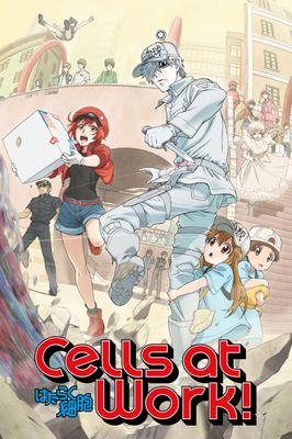Cells at Work!