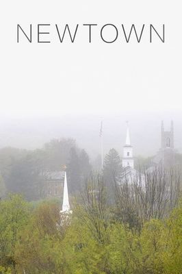 Newtown