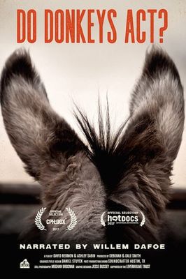 Do Donkeys Act?