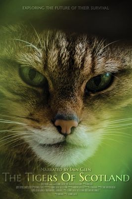 The Tigers of Scotland