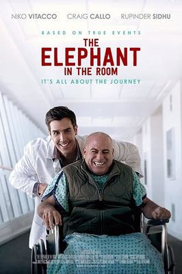 The Elephant in the Room