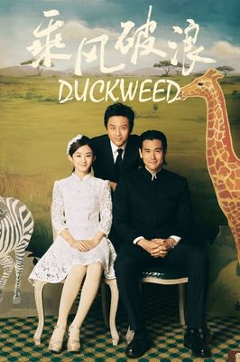 Duckweed