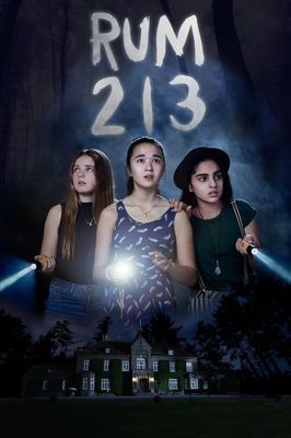 Rum 213