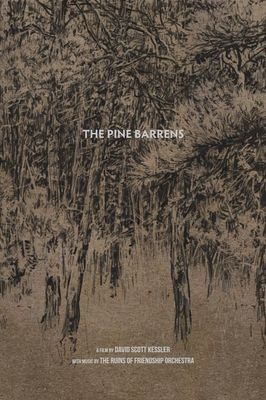 The Pine Barrens