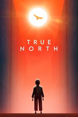 True North