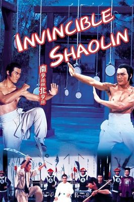Nan Shao Lin yu bei Shao Lin