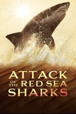National Geographic Sharkfest