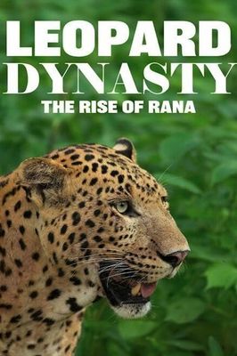 Leopard Dynasty – The Rise of Rana