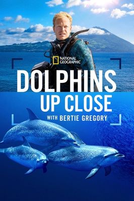 Dolphins Up Close with Bertie Gregory