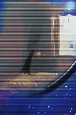 The house was there before me