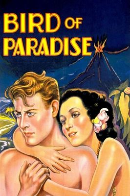 Bird of Paradise