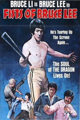 Fists of Bruce Lee