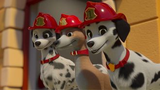 Episode 8 Firedogs to the Rescue! / Pup-Up Playground