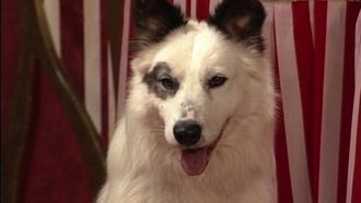 Episode 90 Queen’s Best Friend