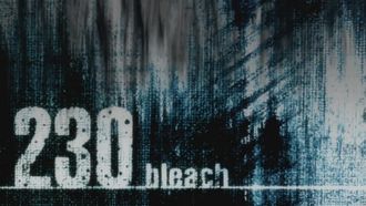 Episode 230 A New Enemy! The Materialization of Zanpakutō