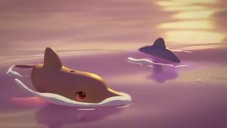 Episode 17 Baby Dolphin Name Game