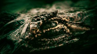 Episode 1 Living Dinosaur of Liberia