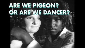 Episode 6 Part Six - Are We Pigeon? Or Are We Dancer?