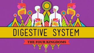 Episode 28 The Digestive System