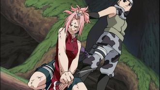 Episode 32 Sakura Blossoms!