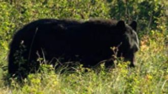 Episode 2 The Secrets of Glacier National Park