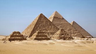 Episode 3 Tree of Life