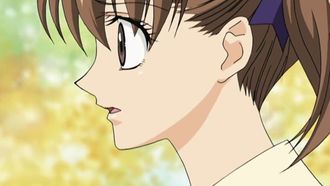 Episode 4 Yellow Rose Revolution