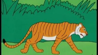Episode 19 India - Tiger