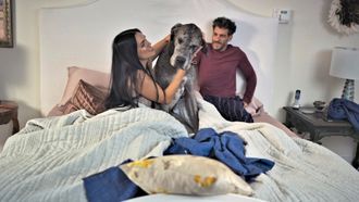 Episode 47 Scent of Hounds