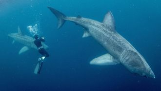 Episode 1 The Dark Ocean