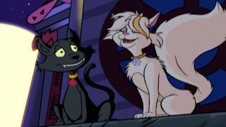 Episode 4 Tail of Two Kitties