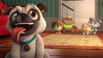 Episode 9 A Dog as a Friend