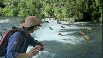 Episode 11 Grizzly Bears