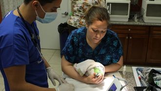 Episode 1 Bunny Nose Job