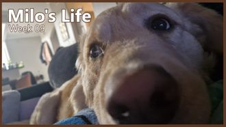 Episode 9 Naps Make Life Better | Week 09