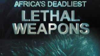 Episode 3 Lethal Weapons