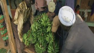 Episode 4 Kenya