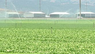 Episode 2 Food Fight