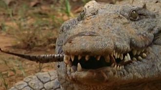 Episode 10 Secrets of the Crocodile Caves