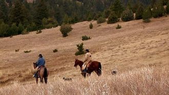 Episode 7 Uncertain Future