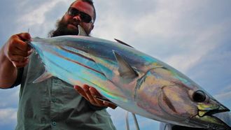 Episode 1 Welcome to the Jungle