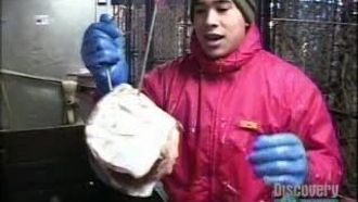 Episode 1 Greenhorns