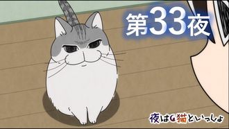 Episode 33 Night 33: The Cat Was Sleeping